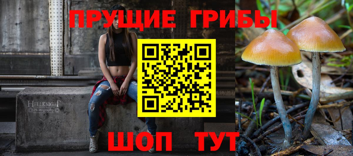 Елец  Галлюциногенные грибы прущие грибы  Вход с VPN 