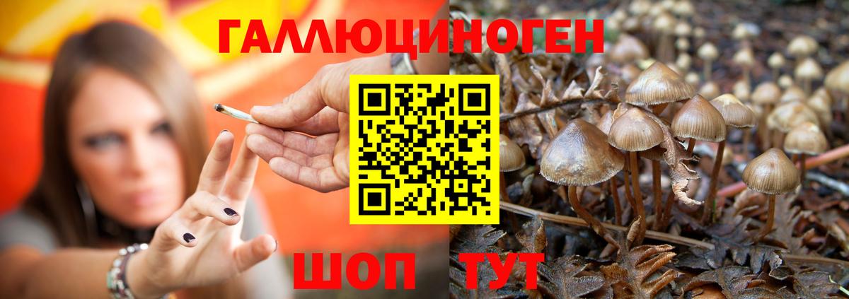 Галлюциногенные грибы ЛСД Елец